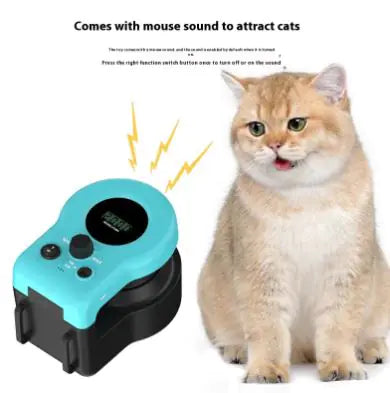 Interactive Cat Fitness Toy
